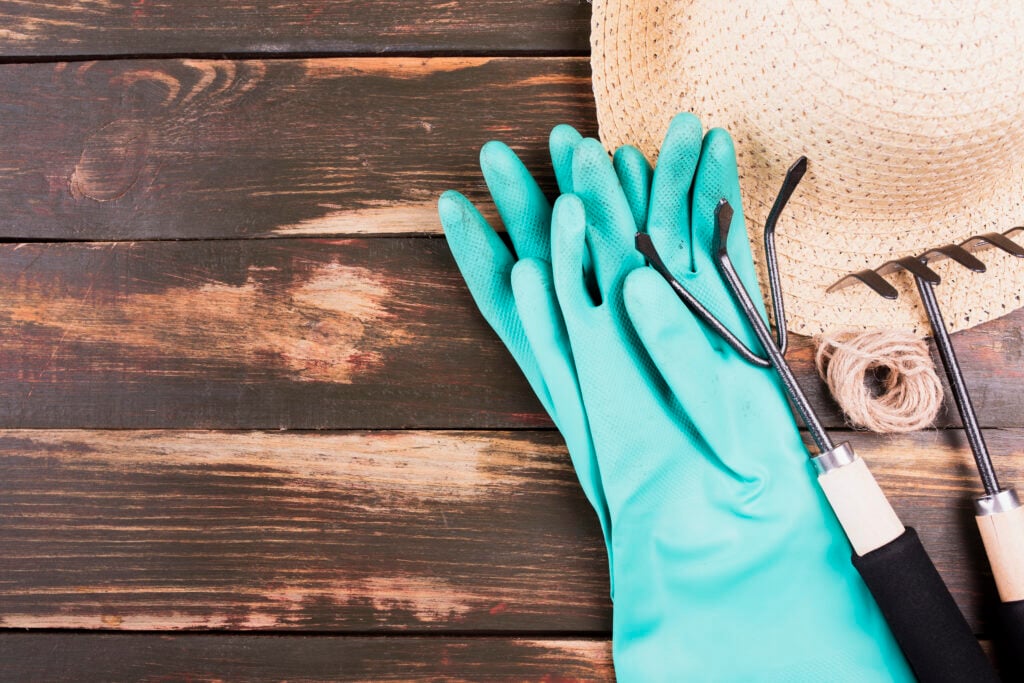 Best Designer Gardening Gloves for Style & Comfort in