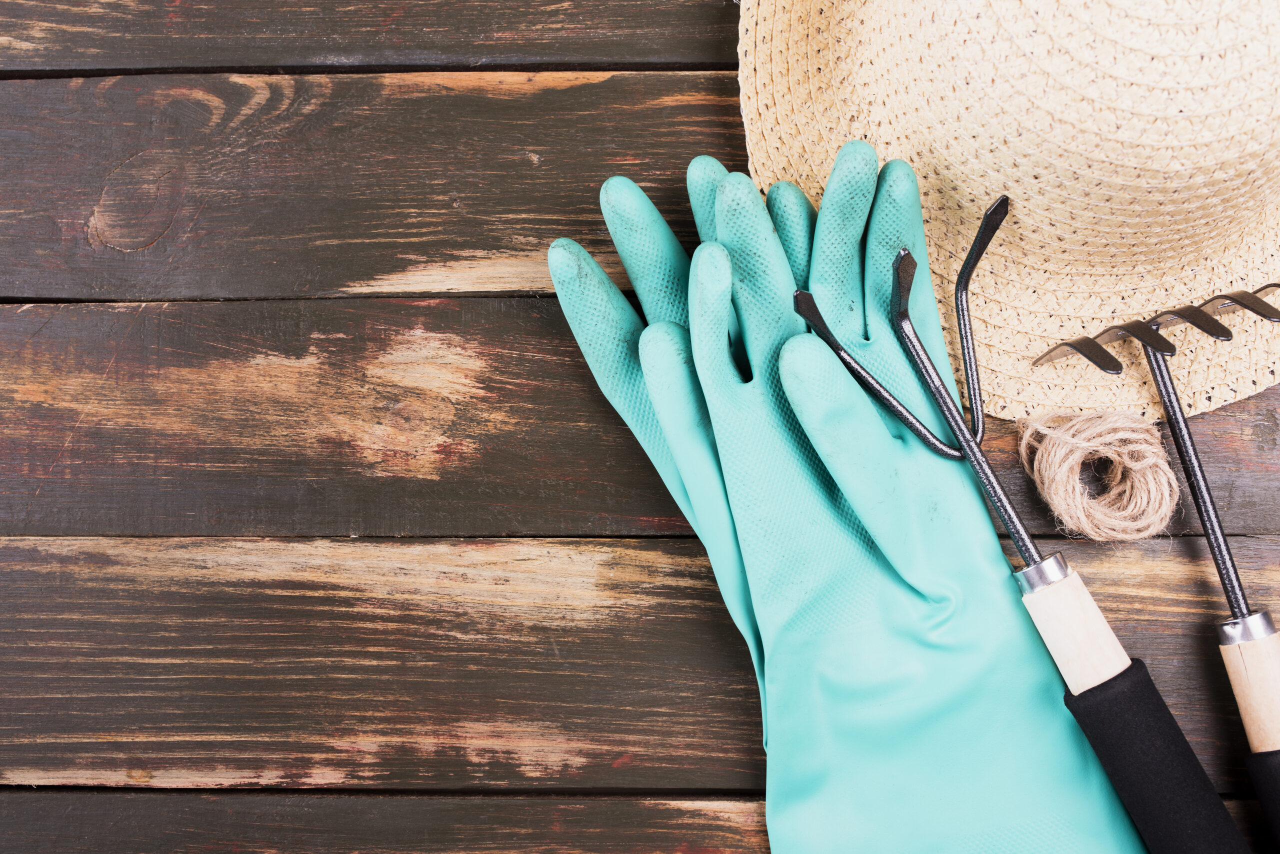 Best Designer Gardening Gloves for Style & Comfort in