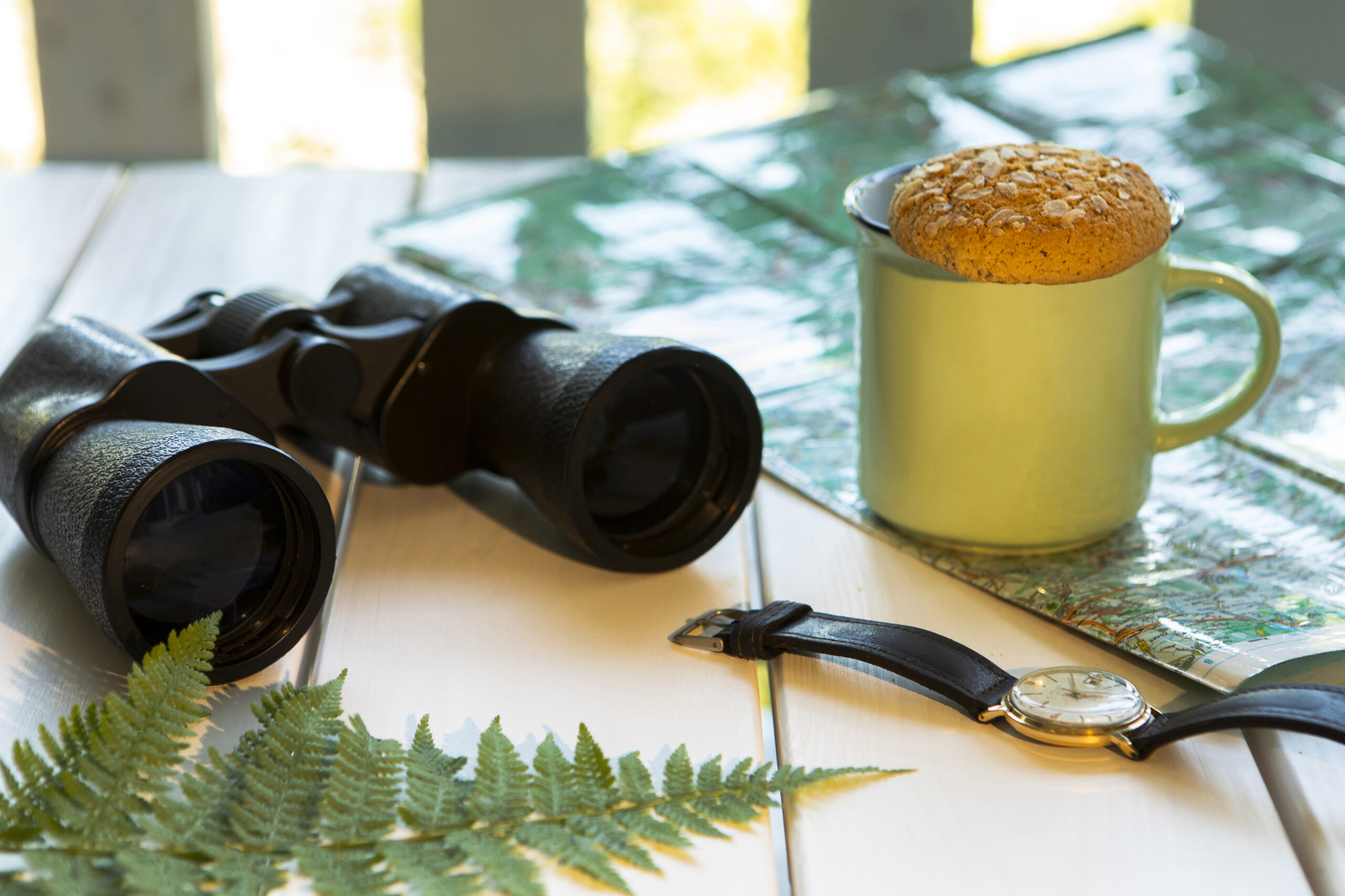 10 Best Spotting Scopes for Birding in 2025