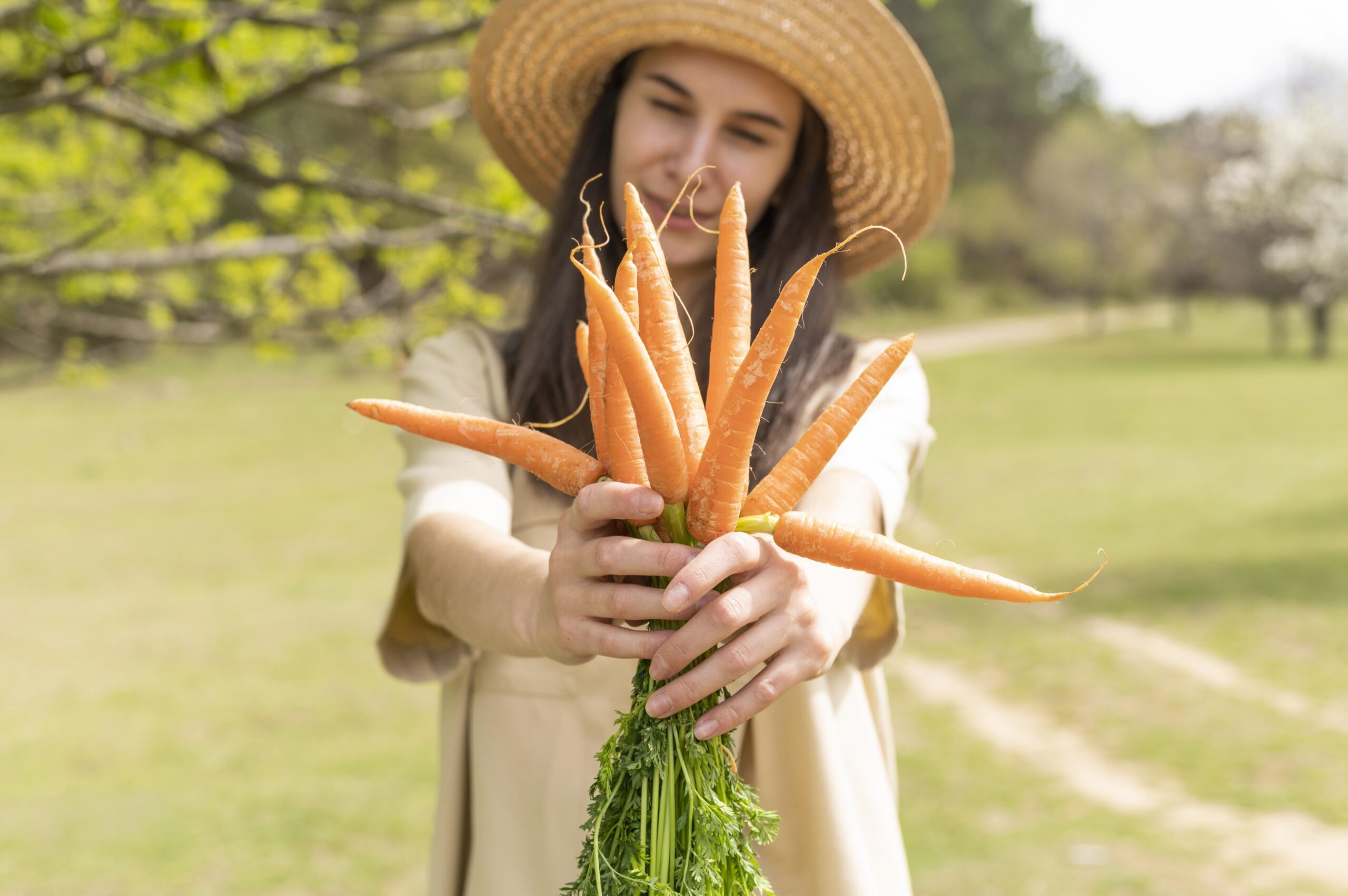 What is the Best Fertilizer for Carrots