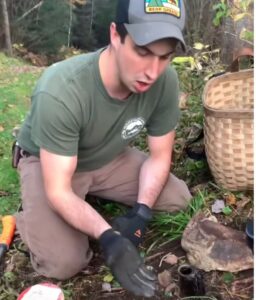 how to keep raccoons out of garden naturally