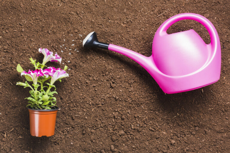 5 Best Garden Fertilizers for Vegetable Gardens in 2025: My Path to a Thriving Harvest