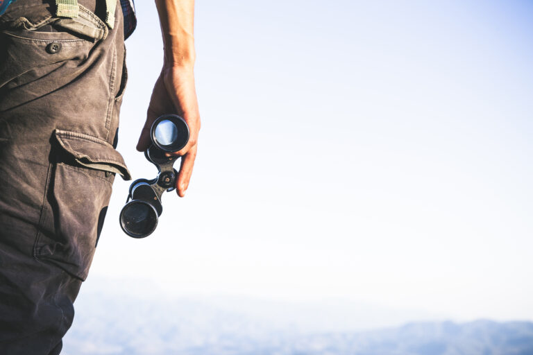 10 best budget spotting scope for birdwatching