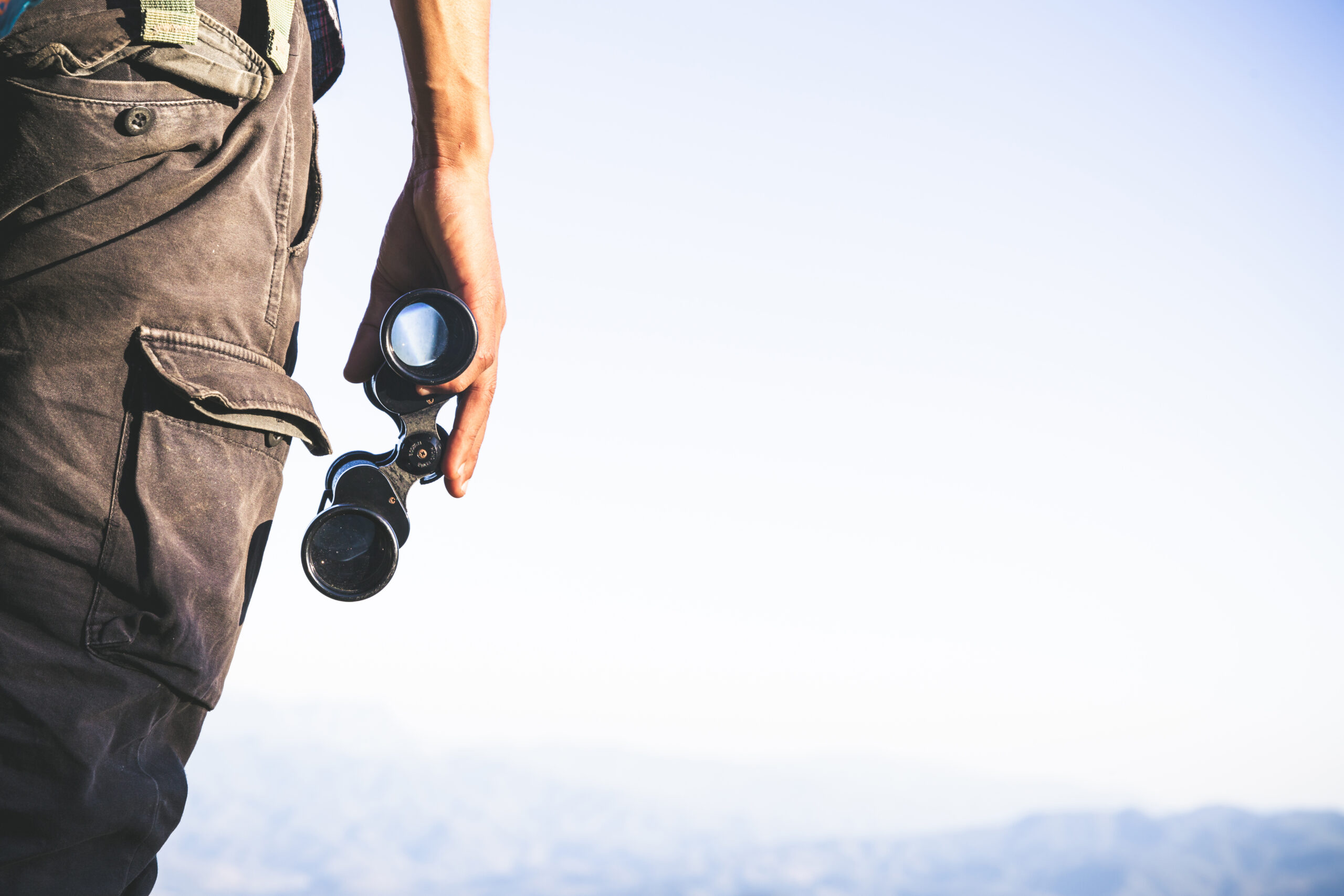 10 best budget spotting scope for birdwatching