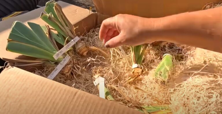 What Constitutes Gardening? Unearth the Essentials