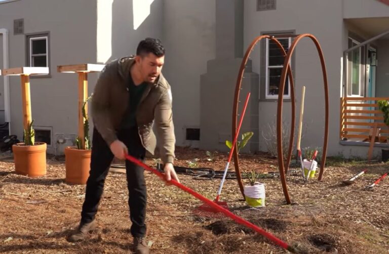 The Ultimate Guide to Garden Clearing Tools: Transform Your Outdoor Space