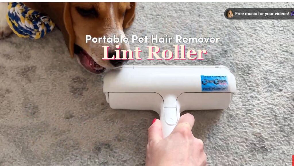 Best Reusable Lint Rollers for Pet Hair on Clothes (