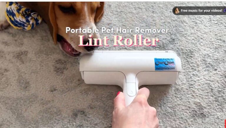 Best Reusable Lint Rollers for Pet Hair on Clothes (
