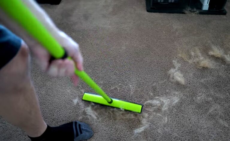 Best Handheld Vacuums for Pet Hair Removal