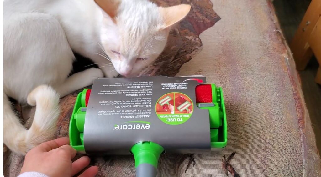 Best Reusable Lint Rollers for Clothes & Pet Hair