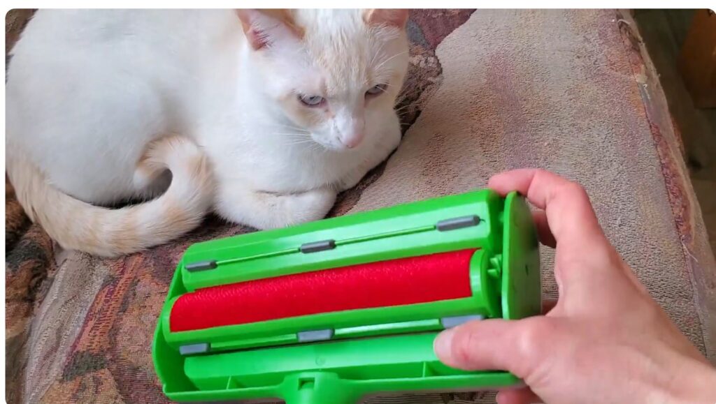 Best Reusable Lint Rollers for Pet Hair