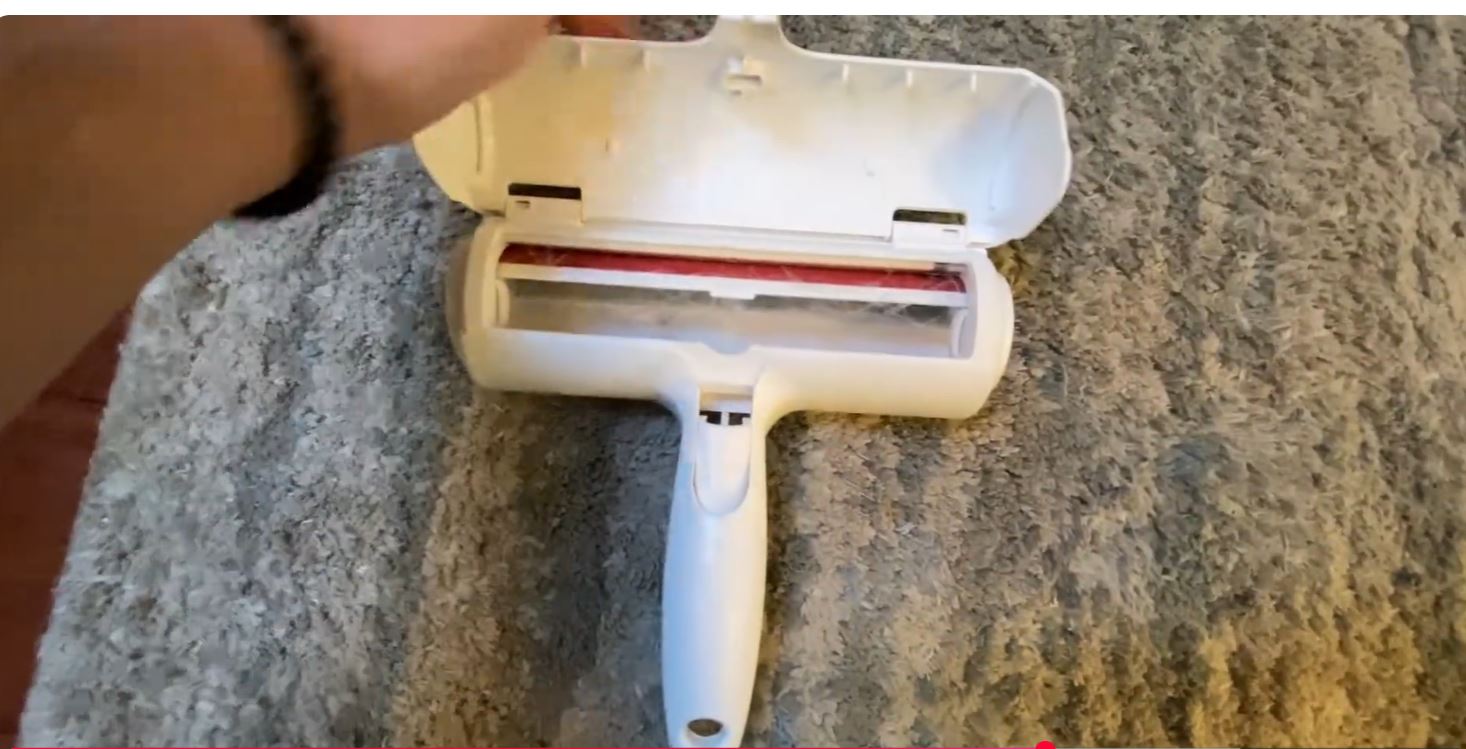 Best Lint Removers for Pet Hair on Clothes