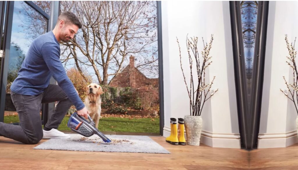 Best Handheld Vacuum for Pet Hair in 2026?