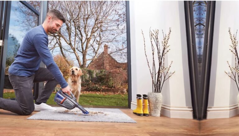 Best Handheld Vacuum for Pet Hair in 2026?