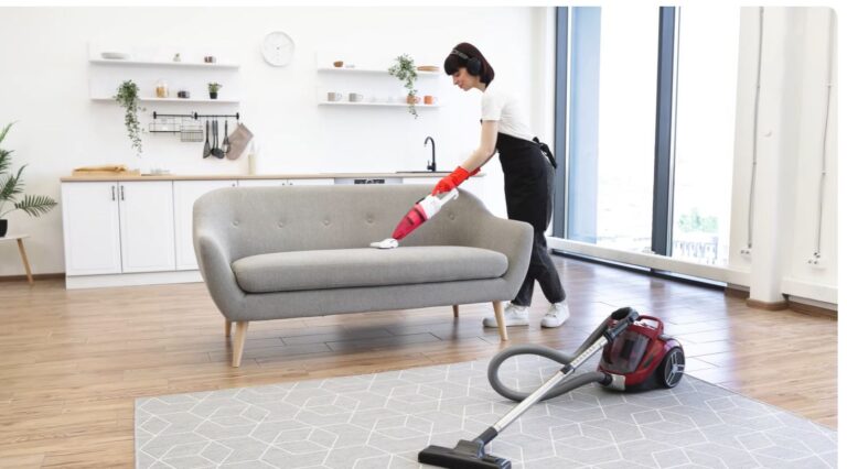 Best Handheld Vacuums for Pet