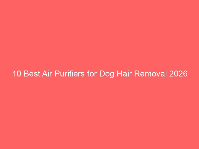 10 Best Air Purifiers for Dog Hair Removal 2026