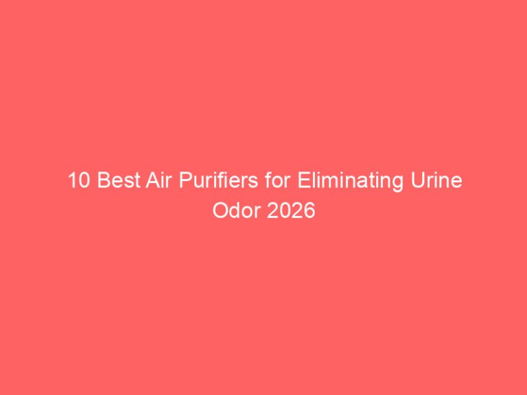 10 Best Air Purifiers for Eliminating Urine Odor 2026