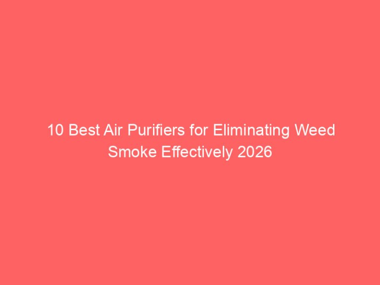 10 Best Air Purifiers for Eliminating Weed Smoke Effectively 2026