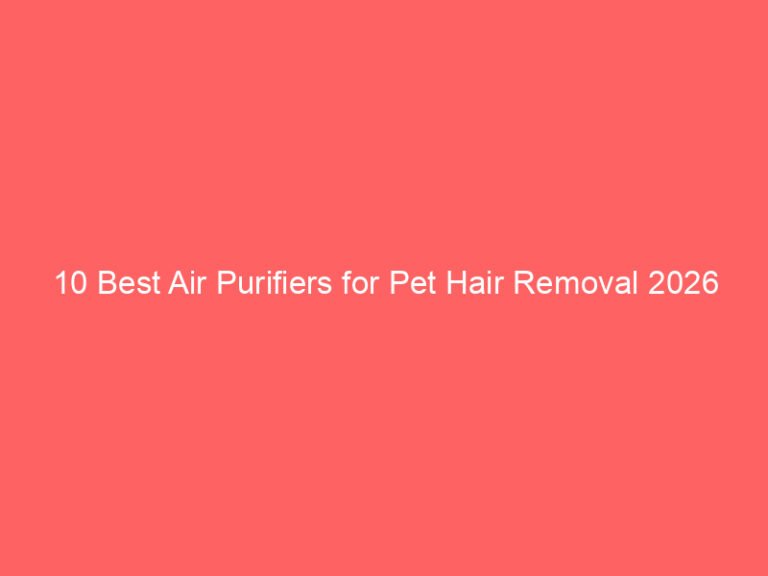 10 Best Air Purifiers for Pet Hair Removal 2026