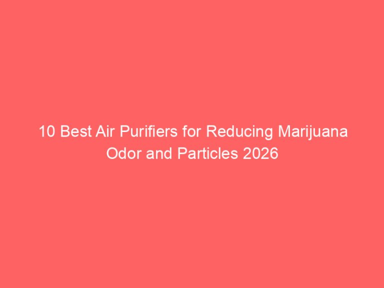 10 Best Air Purifiers for Reducing Marijuana Odor and Particles 2026