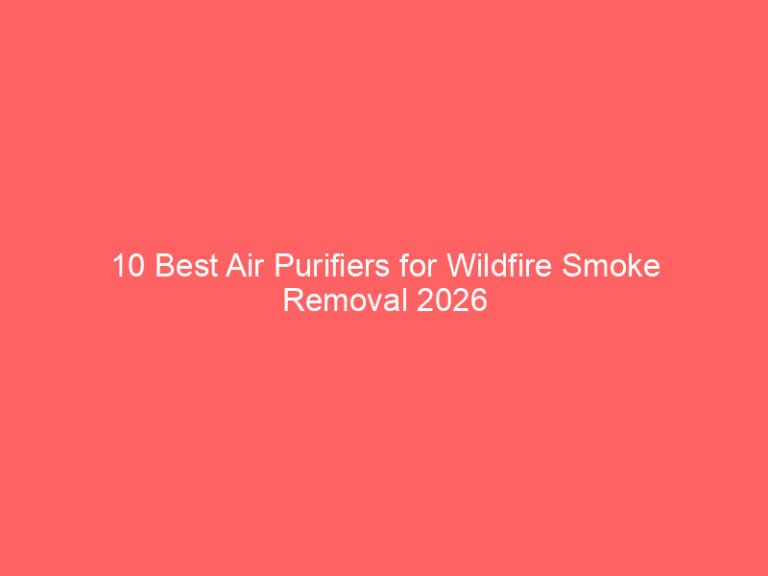 10 Best Air Purifiers for Wildfire Smoke Removal 2026