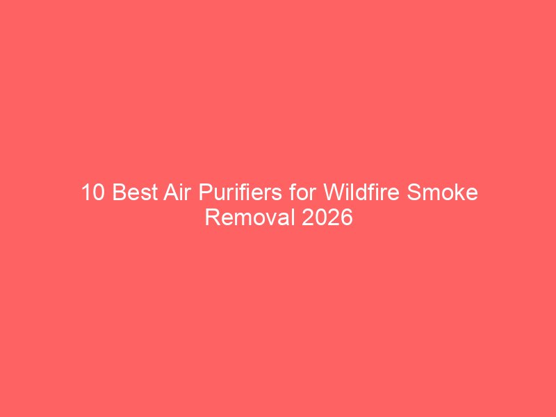 10 Best Air Purifiers for Wildfire Smoke Removal 2026
