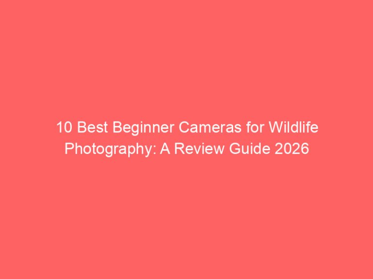 10 Best Beginner Cameras for Wildlife Photography: A Review Guide 2026