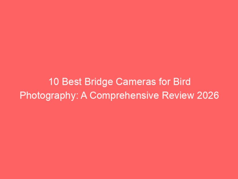 10 Best Bridge Cameras for Bird Photography: A Comprehensive Review 2026