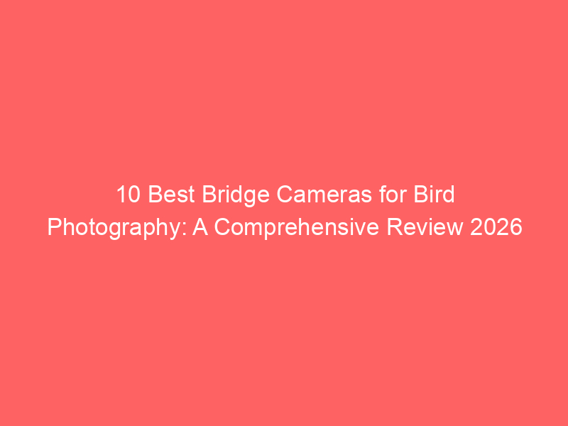 10 Best Bridge Cameras for Bird Photography: A Comprehensive Review 2026