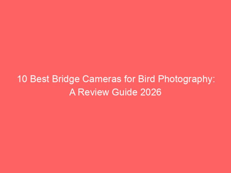 10 Best Bridge Cameras for Bird Photography: A Review Guide 2026