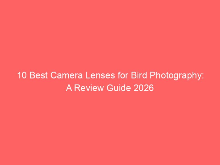 10 Best Camera Lenses for Bird Photography: A Review Guide 2026