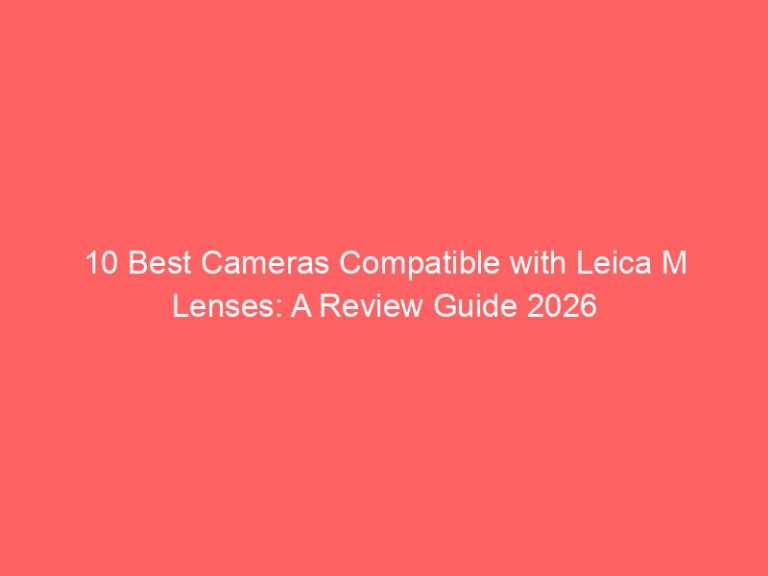 10 Best Cameras Compatible with Leica M Lenses: A Review Guide 2026