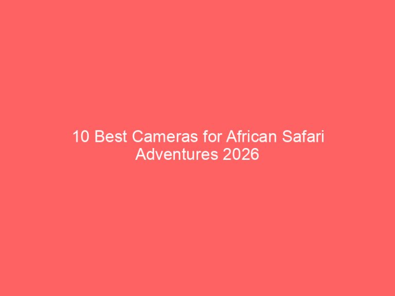 10 Best Cameras for African Safari Adventures 2026