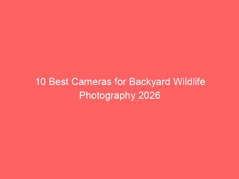 10 Best Cameras for Backyard Wildlife Photography 2026