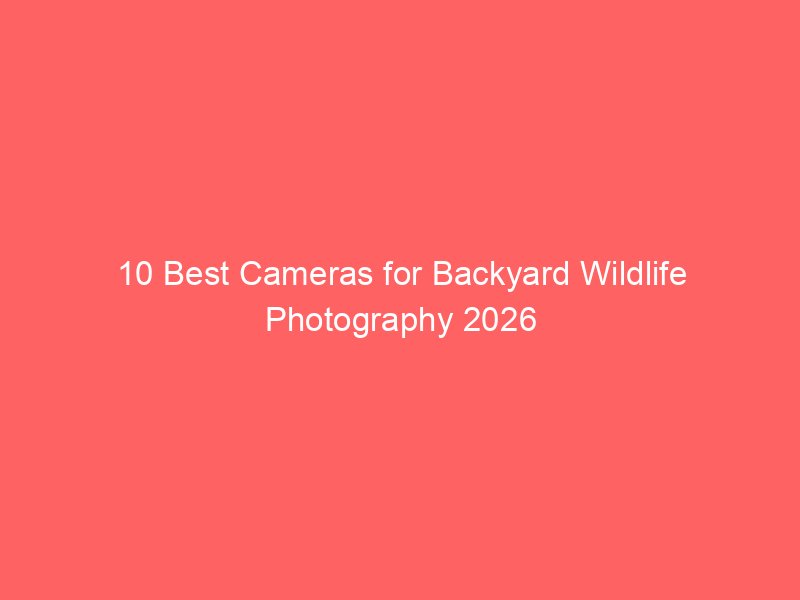 10 Best Cameras for Backyard Wildlife Photography 2026