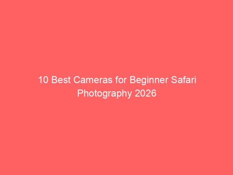 10 Best Cameras for Beginner Safari Photography 2026