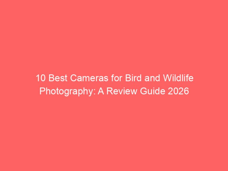 10 Best Cameras for Bird and Wildlife Photography: A Review Guide 2026