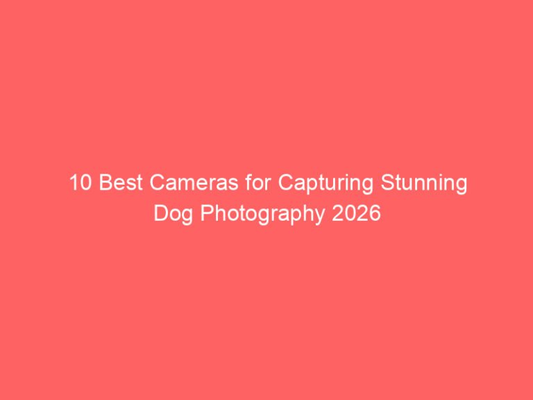 10 Best Cameras for Capturing Stunning Dog Photography 2026