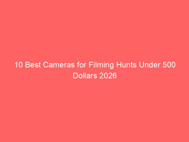 10 Best Cameras for Filming Hunts Under 500 Dollars 2026
