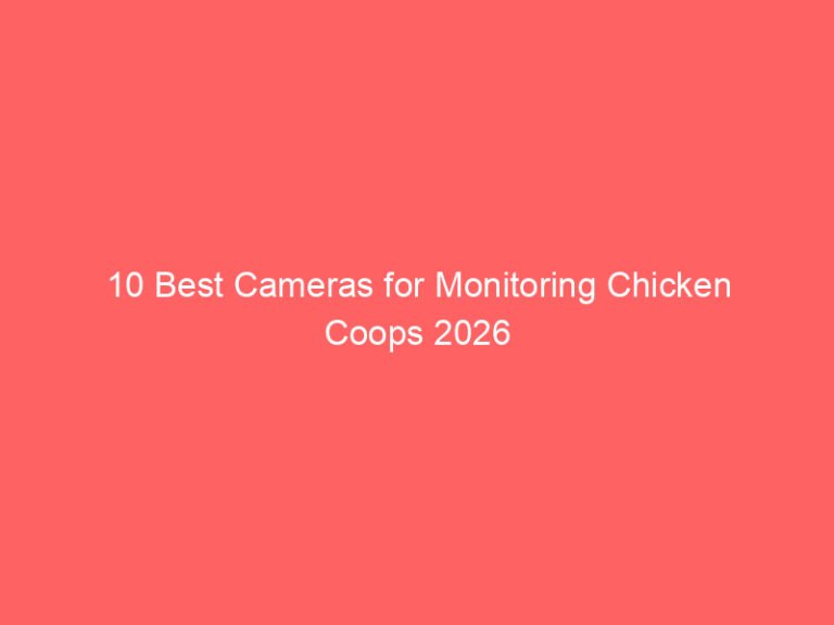 10 Best Cameras for Monitoring Chicken Coops 2026