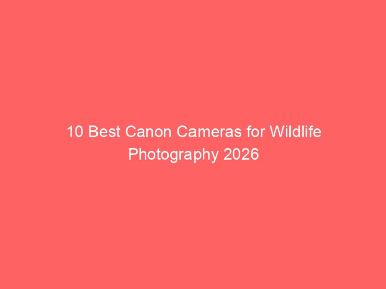 10 Best Canon Cameras for Wildlife Photography 2026