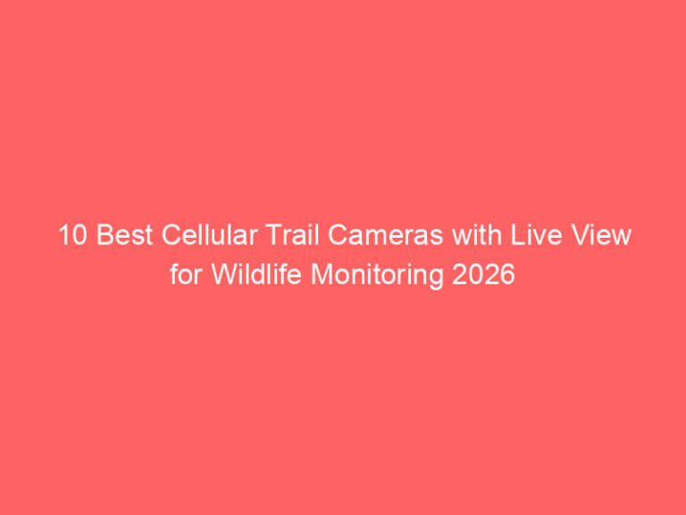 10 Best Cellular Trail Cameras with Live View for Wildlife Monitoring 2026