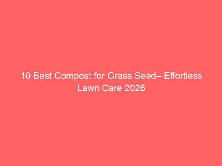 10 Best Compost for Grass Seed– Effortless Lawn Care 2026