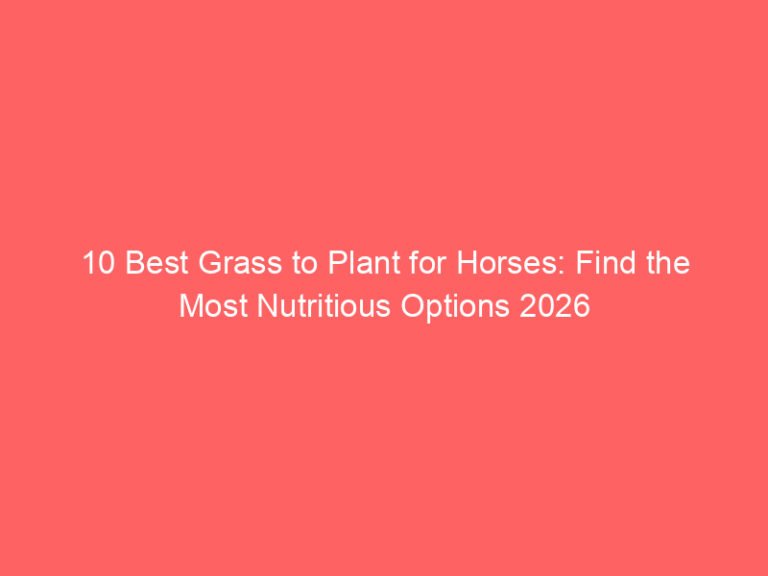 10 Best Grass to Plant for Horses: Find the Most Nutritious Options 2026