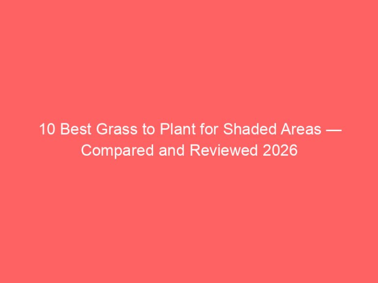 10 Best Grass to Plant for Shaded Areas — Compared and Reviewed 2026