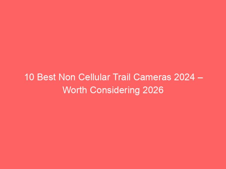 10 Best Non Cellular Trail Cameras 2024 – Worth Considering 2026