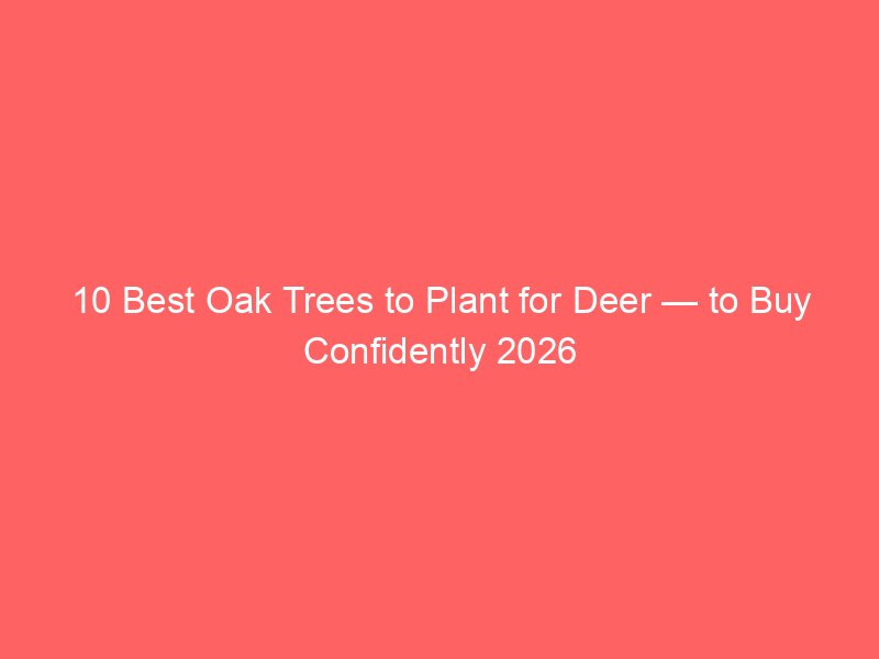 10 Best Oak Trees to Plant for Deer — to Buy Confidently 2026