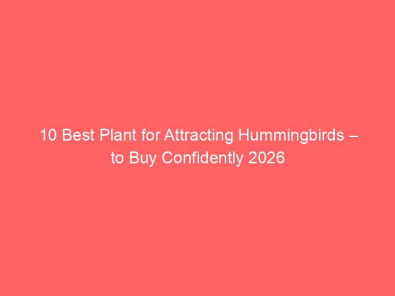 10 Best Plant for Attracting Hummingbirds – to Buy Confidently 2026