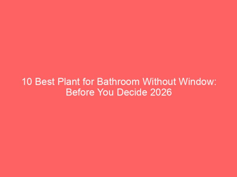 10 Best Plant for Bathroom Without Window: Before You Decide 2026