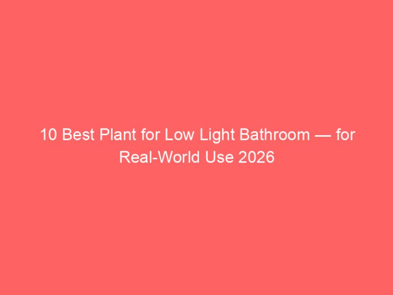10 Best Plant for Low Light Bathroom — for Real-World Use 2026